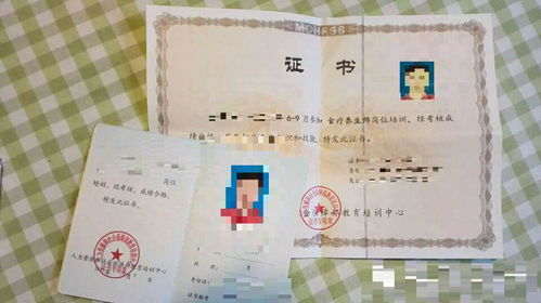 人力资源和劳动社会保障部教育培训中心与广东省职业技能鉴定指导中心的培训哪个证书更好